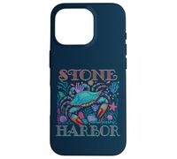 STONE HARBOR NEW JERSEY SHORE BLUE CRAB VERANO PLAYA ARTE Carcasa para iPhone 16 Pro