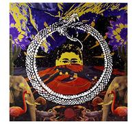 Stone House On Fire - Neverending Cycle [Vinilo]