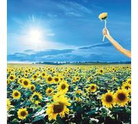 Stone Temple Pilots - Stone Temple Pilots - Thank You (2 LP) [Vinilo]