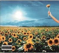 Stone Temple Pilots - Thank You (+Dvd)