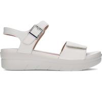 SANDALIAS STONEFLY AQUA III 110207 GREY 39