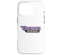 Stonehill College Skyhawks Text Logo Carcasa para iPhone 16 Pro