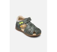 Stones and Bones 4123 SARO 26 Verde