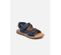 Stones and Bones Dardo 24 Azul