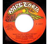 STONEY & MEATLOAF - what you see is what you get / lady be mine 45 rpm single