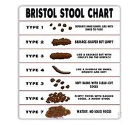 Stool Type Reference Metal Sign Bathroom Gift Idea 12x8 Inch