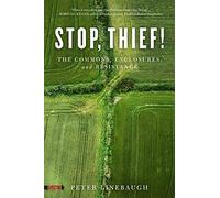Stop, Thief!: The Commons, Enclosures, And Resistance (Spectre)