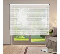 STOR PLANET | Estor Enrollable Translúcido Decorativo Scene, Persianas Enrollables Interior para Ventanas y Puertas. Estores para Cocina, salón, Dormitorio | Rayas Blanco, 80x180cm