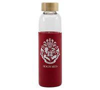 Stor8412497003457Vidrio Botella con Silicona Funda, 585 ml Capacidad, Harry Potter