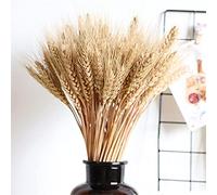 Storaffy Flores Trigo | 45cm 100 Manojo Flores Trigo seco | Gavillas Trigo para decoración del hogar | Guirnalda Planta Paquete Trigo seco Artificial para Mesa