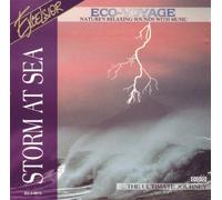 Storm at Sea: Nature's Relaxing Sounds with Music