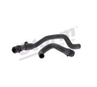 Storm Manguito, intercambiador calor - calefacción para RENAULT: Laguna (Ref: F11173)