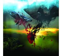 Storm of Light - And We Wept The Black Ocean Within