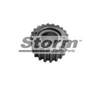 Storm Rueda dentada, Árbol de levas para RENAULT: Kangoo, Clio, Modus & DACIA: Logan (Ref: F10445)