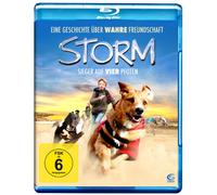 Storm - Sieger auf vier Pfoten [Alemania] [Blu-ray]