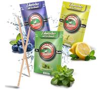 Stoxser 450 palillos de dientes con sabor, paquete de 3 unidades, arándanos y limón/limón y menta/mentol, revolución del sabor, palillos de dientes, sin goma, soporte para pasta de dientes, hilo