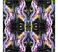 Straight Up Buzz - There's a Whole Lotta Space Between Us