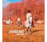 Stranded Horse - Grand Rodeo