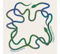 STRANGE IS THE COASTLINE [Vinilo]