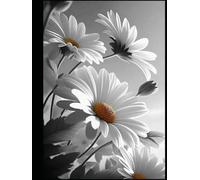 Stranger Than Fiction