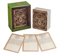 Stratagem Cartas de conjuros compatibles con D&D 5E. Barajas por Clase como Referencia rápida, Cartas de hechizos tamaño Bolsillo, Accesorios para Juegos de rol y Aventuras de fantasía (Druida)