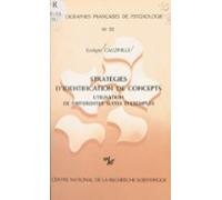 Stratégie Didentification De Concepts (ebook)