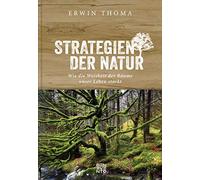 Strategien der Natur: Wie die Weisheit der Bäume unser Leben stärkt
