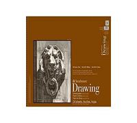 Strathmore 400-108 400 Series Dibujo, superficie lisa, 45,72 x 60,96 cm, 24 hojas