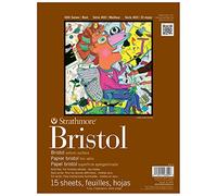 Strathmore Bristol serie 400, vitela de 2 capas, encuadernado con cinta de 14 x 17 pulgadas, 15 hojas