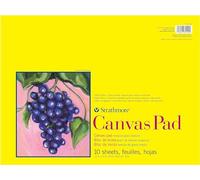 Strathmore Serie 300, bloc de lona, 12 x 16 pulgadas, 10 hojas, triple imprimación, lienzo 100% algodón, artistas Plein Air, pintura acrílica y pintura al óleo, blanco