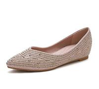 Strato-Vani & Rudy Giovannini - Viva Strauss Live in Flanders Expo [Import]