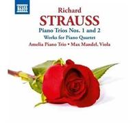 Strauss: Piano Trios Nos. 1 & 2: Works for Piano Quartet by Amelia Piano Trio, Mandel (2011-09-27)