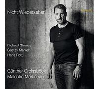 Strauss, Rott, Mahler : Lieder et mélodies. Groissböck, Martineau.