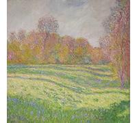 Strawberry Guy - Sun Outside My Window [Vinilo]