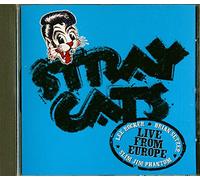 Stray Cats - Live From Europe - Brussels July 6, 2004