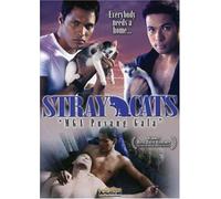Stray Cats [Reino Unido] [DVD]