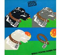 Stray Dog - While You're Down There