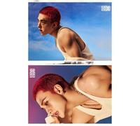 Stray-Kids Decal SK-Z calcomanía Karma calcomanía autoadhesiva Stay SK-Z Poster (Hyun Jin 1)