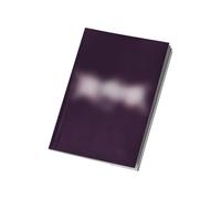 STRAY KIDS - Mini álbum Star Rock-Star 8th (versión limitada de Star Ver.) + juego de 3 tarjetas fotográficas adicionales