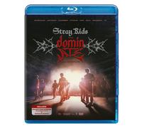 Stray Kids: The dominATE Experience
