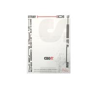 STRAYKIDS SKZ - 1ST ALBUM GO LIVE, [A TYPE]