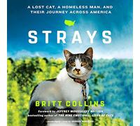 Strays: Un gato perdido, un hombre sin hogar y su viaje a través de Estados Unidos