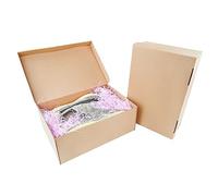 STRBOXONG Cajas de Cartón para Zapatos con Tapa, 32x22x12 cm, Caja de Almacenaje Multiusos para Contenedores de Organización de Oficina en Casa, Cartón Plegable, Paquete de Regalo (5 Piezas)