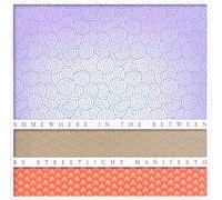 STREETLIGHT MANIFESTO - SOMEWHERE IN BETWEEN (CLEAR VINYL) [Vinilo]