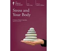 stress-and-your-body