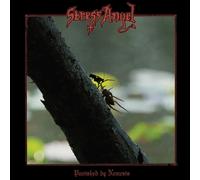 Stress Angel – Punished by Nemesis