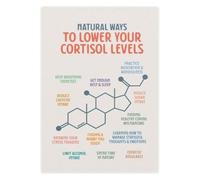 Stress Hormone Balance Poster Relaxation Technique Aid