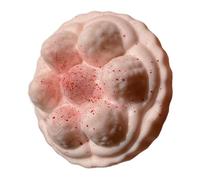 Stress Toy Cake, Strawberry Fidget , Play Tool with Classic Style, Toy for Kids Adults, Calm Aid, Practical Support for Home Outdoor Commuting Travel School Office Birthday Holiday Celebration