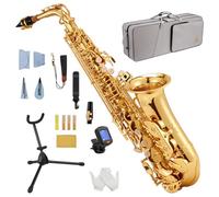 STRICH Kit de saxofón alto en Mi bemol para estudiantes principiantes, con correa para el cuello, boquilla y lengüetas, ideal para la banda del colegio y para practicar en casa, SSA-31G, dorado