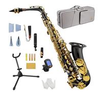 STRICH Kit de saxofón alto para estudiantes principiantes, con correa para el cuello, boquilla y lengüetas, ideal para la banda del colegio y para practicar en casa, SSA-31B, negro